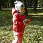 Алёнчик Онищук
