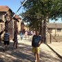евгений игнатенко