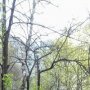 Михаил Мельниченко