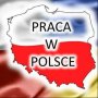 Praca W Polsce