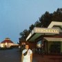 Діма Мелнік