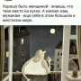 IhorTimoxa 