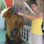 Василий Дмитрук