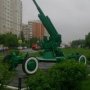 Денис Пасевич