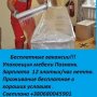Svetlana27 