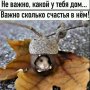 Паша Головко