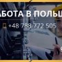 Works4you Viktoriia 