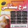 farah572845 